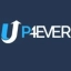 Upload-4ever.com 파일 검색 엔진
